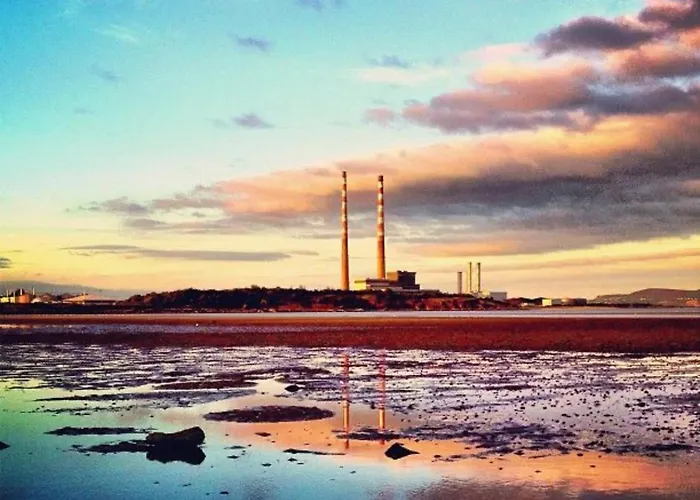 The Merry Cobbler Dublin